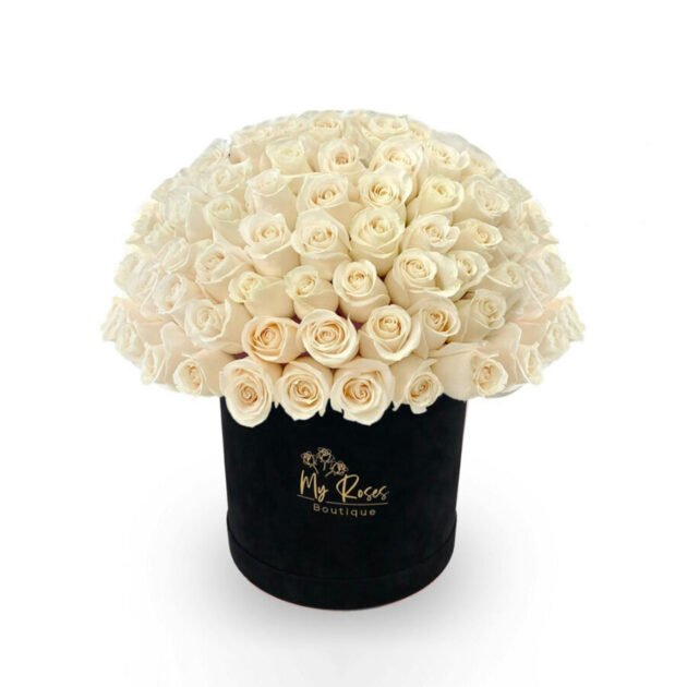 Black Velvet Box With White Roses