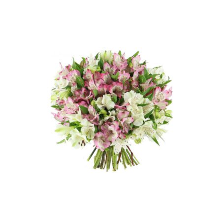 Bouquet of 20 Mixed Color Alstroemerias