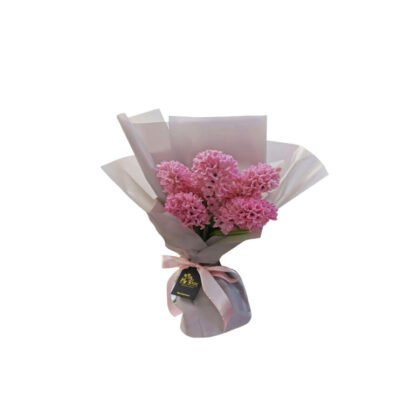 Bouquet of 5 Pink Hyacinthus