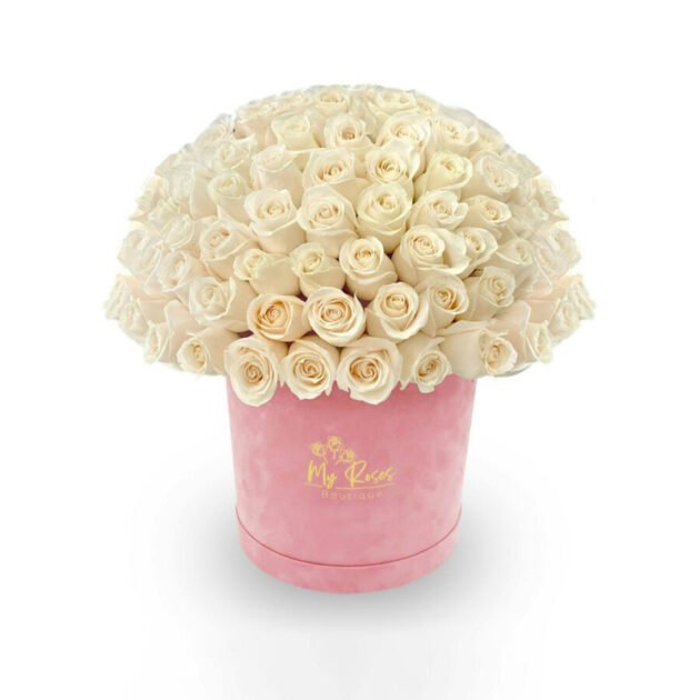Pink Velvet Box with White Roses