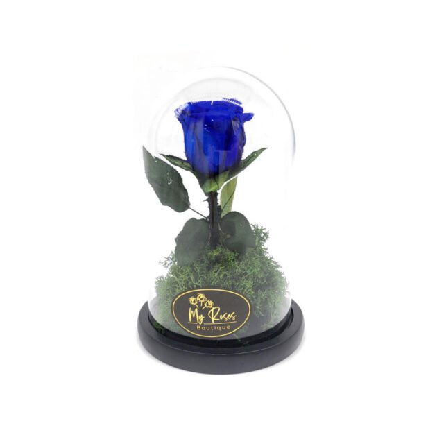 Single Blue Forever Rose (Small)