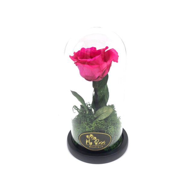 Single Pink Forever Rose (Small)