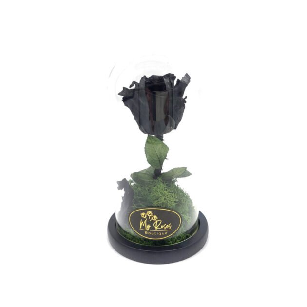 Single black Forever Rose (Medium)