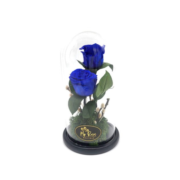 Twin Blue Forever Roses (Medium)