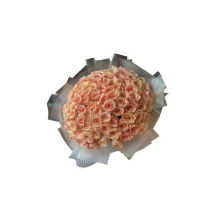 Florence peach