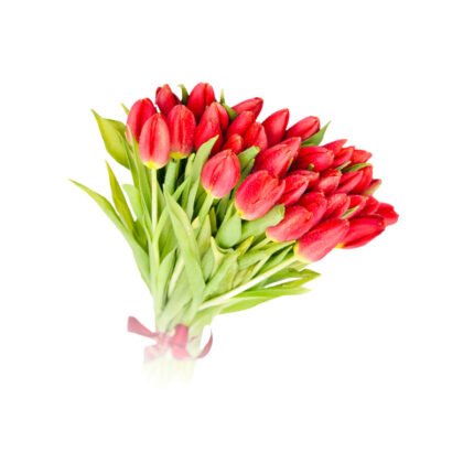 red tulips