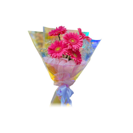 Elegant pink gerbera