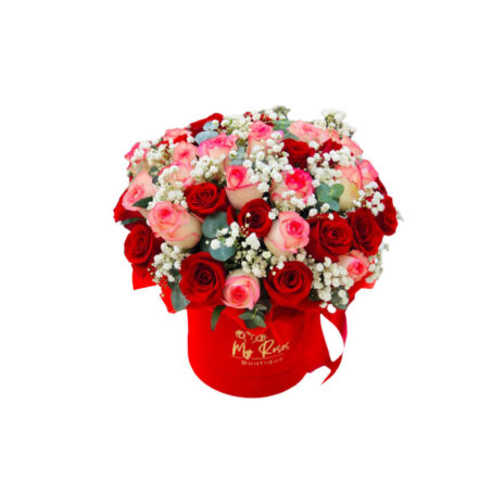 Majestic arrangement