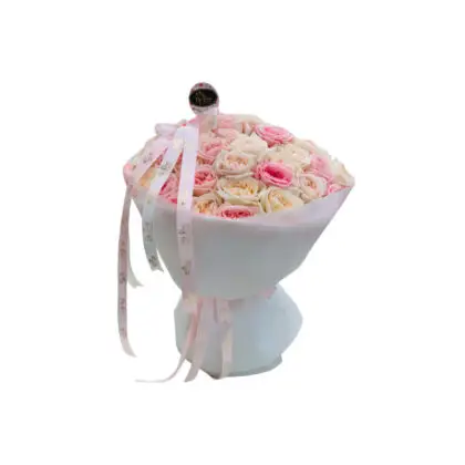 white and pink garden rose