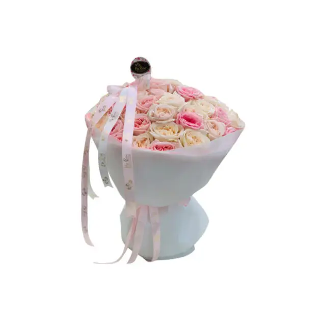 white and pink garden rose