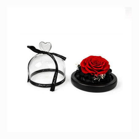 Single Infinity in Doomed Glass